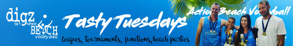 digzbeachvolleyball monday log header